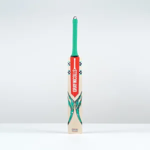 2025 VENTUS 1.0 300 CRICKET BAT – Junior