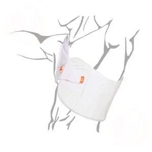 Aero P1 Chest Protectors